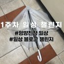 일상 블로그 챌린지 1주 차