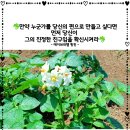 오늘도건강