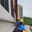 수색-010 이미지