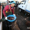 동해-단속-23 이미지