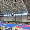 파란태권도 | 엄마가 더 떨렸던 고양 어울림누리 국기원 태권도 심사 후기