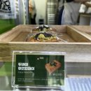 따봉PC | [맛집 투어] 예산 명물 '사과동 이수역점', 내돈내산 솔직 후기