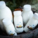 미르목장 이미지