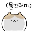 이씨엘 이미지