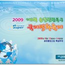 2009년 제6회 슈퍼평택 국제평화축제 (6월13일~14일) 이미지