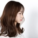 리온테크 이미지