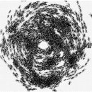 자연+인간+우연 이미지