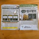 주식회사 생명나무