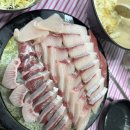 (주)블링크 | [망원 대방어 맛집] 평일 웨이팅 우리바다수산 내돈내산 솔직 후기