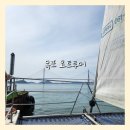 목포 요트투어 놀거리 선상 데이트코스 가볼만한곳 뉴문마리나