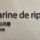 마린드리플 이미지