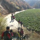 (주)옛길 이미지