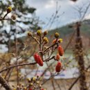 사라수변공원입구 이미지