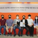 라이브스 이미지
