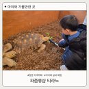 원이대로-1 | 창원 이색카페 파충류샵 티라노 아이와 실내 체험 후기