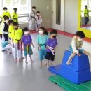 용인대 꿈나무태권도장 이미지
