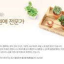 2-3 원예 치료전문가 과정 이미지