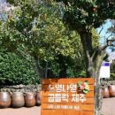 일출랜드식물원 이미지