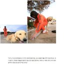 고성방가 게스트하우스 이미지