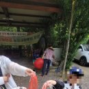 도동농장 이미지