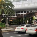 제주오케이렌터카 이미지