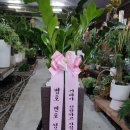 인주 무인카페 카페테로
