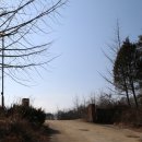 봉화중학교 봉성분교장 | <봉화의 학교> 봉화중학교 봉성분교 ... 봉성중학교 ... 폐교 ( 봉화군 봉성면 )