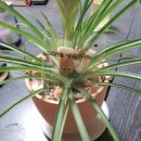 오늘도 헬스 이미지