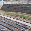 남해-37 | 부담없이 즐겼던 남해 독일마을 맛집 오늘은남해!!