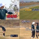 쌍쌍 이미지