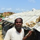 18/06/01 Rohingya reluctant to return home despite UN deal - Myanmar authorities accused of trying to divert attention from atrocities committed by it 이미지