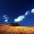 나무게스트하우스 이미지