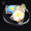 제이스테이지 이미지