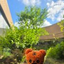 영어교육도시2교차로 3 이미지