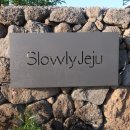 슬로우리제주 이미지