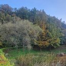 가수세천 이미지