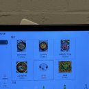 충장로뚱땡이 이미지