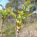 송화네민박 이미지