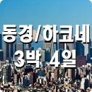 푸른항공여행사 이미지