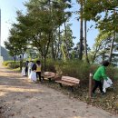 용마루정비 이미지