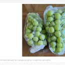 훈민농장 이미지