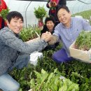 첨단농장 이미지