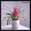 플로리스트 초급 | 플랜테리어 초급 클래스 후기｜식물심기부터 테라리움까지