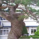 학선농장 이미지