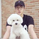강아지를부탁해 - 중구 달구벌대로 2123 | 강아지를부탁해