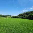 압해공인중개사사무소 이미지