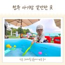 [청주 아기랑 실내 갈만한 곳] 키즈존에 물놀이까지! &#39;청주 그래시힐&#39; 두돌아기 방문후기