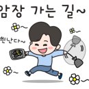 다이노클라이밍 이미지