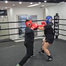 팀 리버샷 복싱짐 이미지