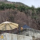 보령 대천 (갱스커피) 카페다녀온 후기 🦁☕️